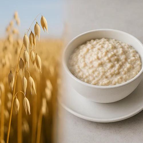 ChatGPT Image Dec 15, 2025 at 07_18_36 AM.webp