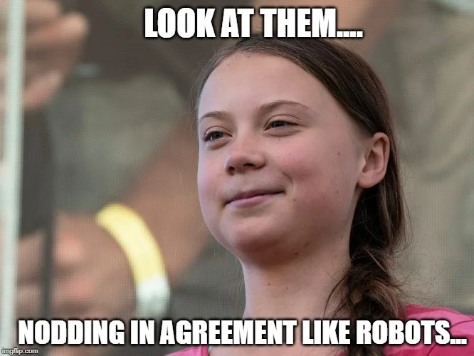 greta-thunberg-smirk-climate-change-meme.webp