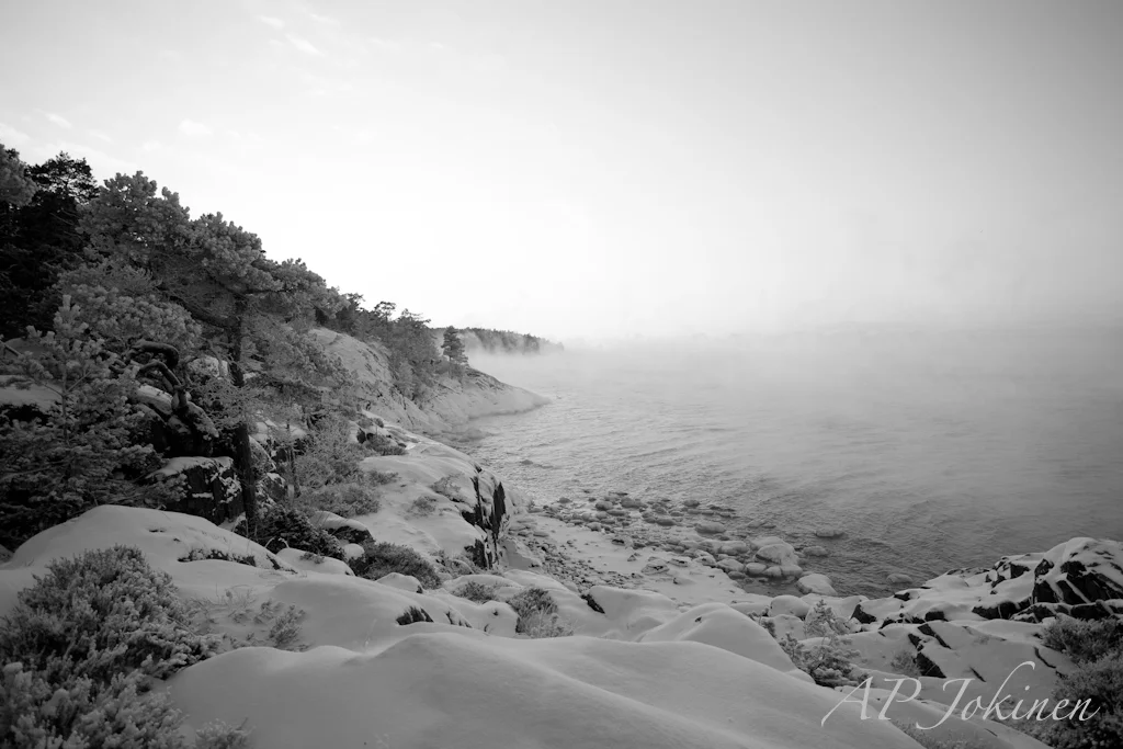 IX4S5908-1 copy.webp