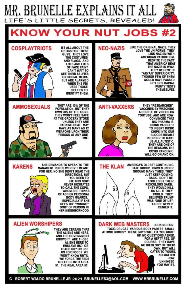 know your nuts 2.webp