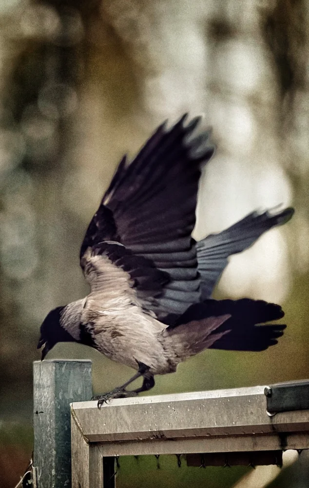 Screenshot 2025-05-07 at 8.47.33.webp