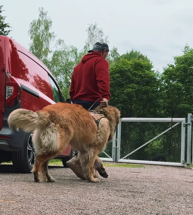 Screenshot 2025-06-21 at 10.06.01.webp