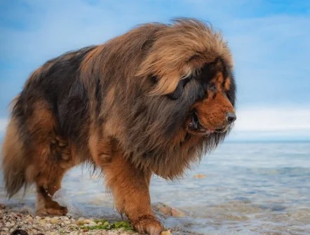 Screenshot 2025-07-15 at 13.03.15.webp