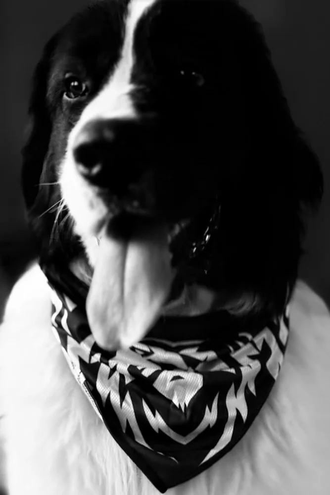 Screenshot 2025-08-13 at 21.49.47.webp