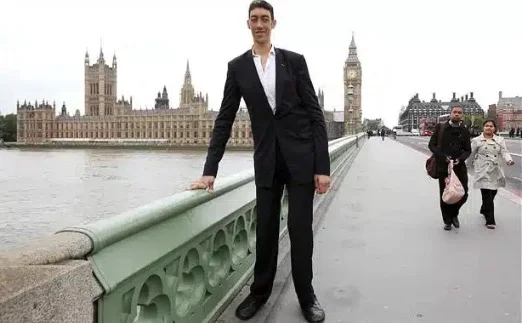 Screenshot 2025-10-11 at 14.58.39.webp