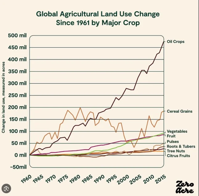 Screenshot 2025-12-25 at 13.53.40.webp