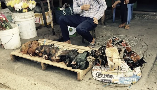 Screenshot 2026-01-16 at 14.17.57.webp