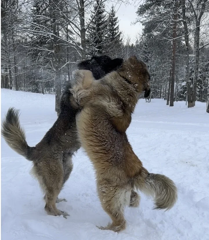 Screenshot 2026-02-22 at 10.52.13.webp