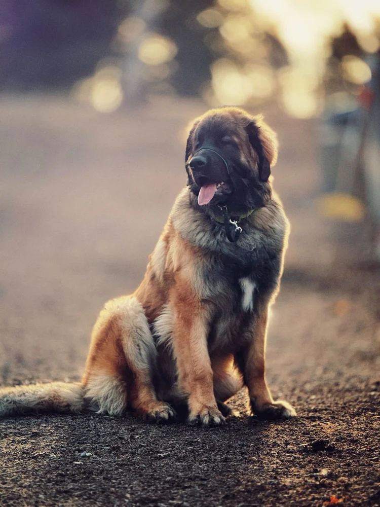 WhatsApp Image 2025-04-07 at 08.23.31.webp