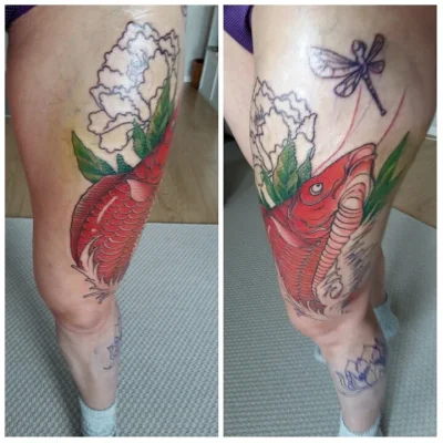 IMG_20160330_171540.webp IMG_20160330_171540.webp