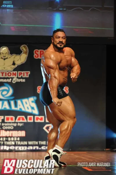 roelly3.webp