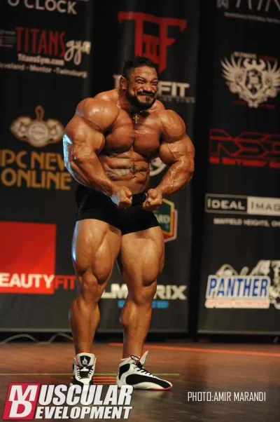 roelly4.webp