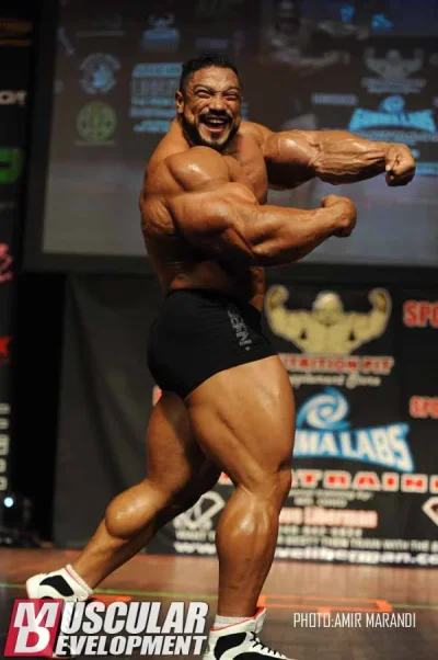 roelly5.webp