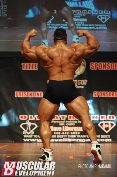 roelly6.webp