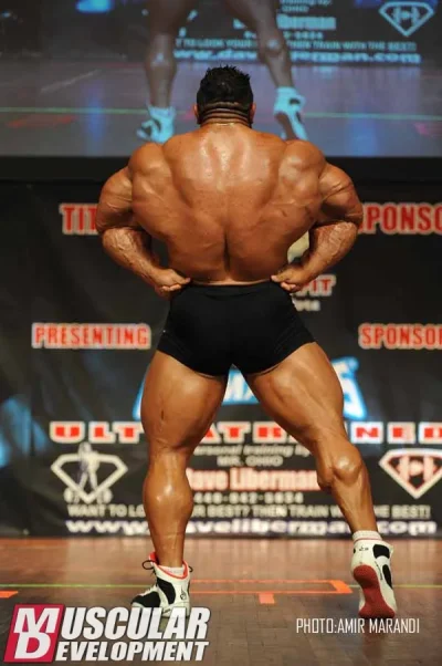roelly7.webp