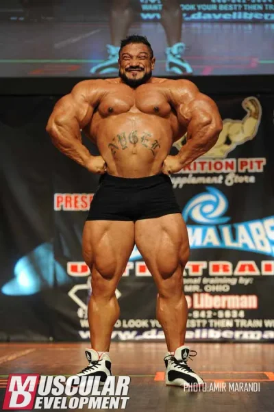 roelly8.webp