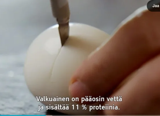 WhatsApp Image 2018-10-11 at 13.59.44.webp