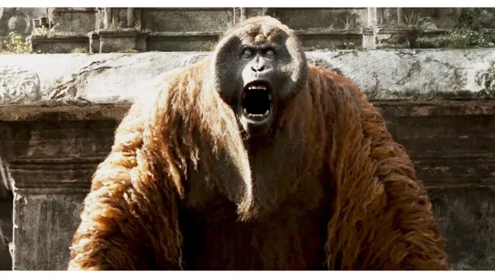 maxresdefault (1)wf.webp