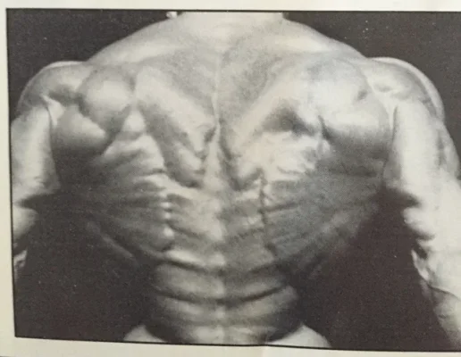 Jouko Yläpelto Kalanruoto.webp