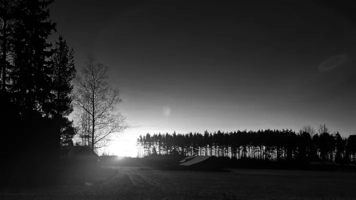 IMG_6729.jpg IMG_6729.jpg