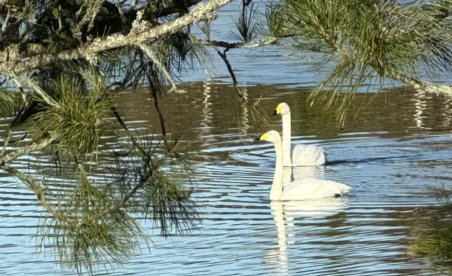 IMG_0284.webp IMG_0284.webp