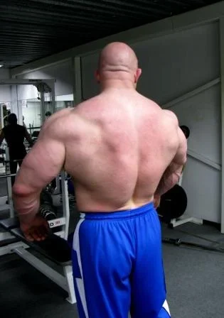 Bull selkä 2.2.2009.webp