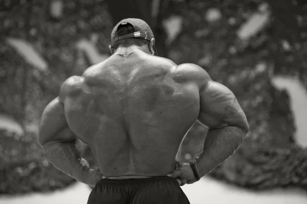 roelly1.webp