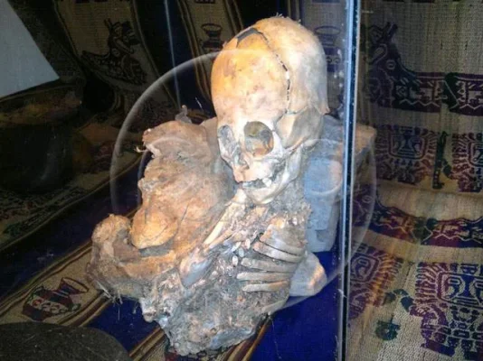 non-human-ancient-mummy-just-discovered-in-cusco-peru.webp