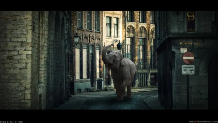 bruggenorsu.webp bruggenorsu.webp