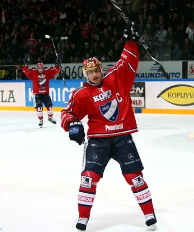 Peltonen, kurko.webp