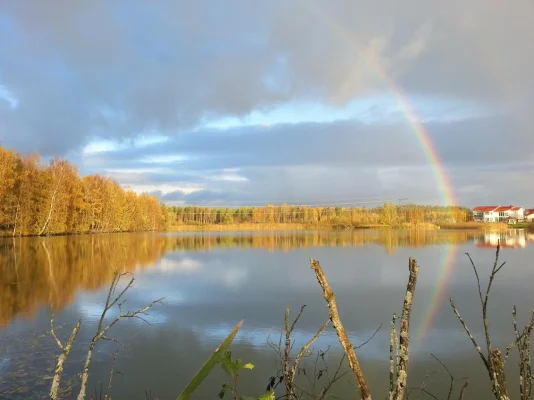 image.webp image.webp