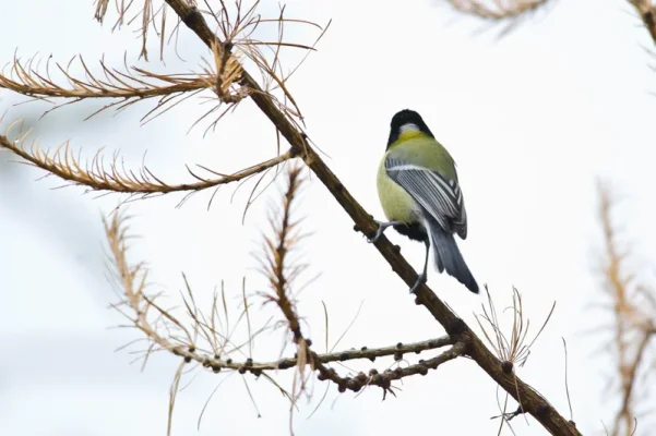 _small.webp _small.webp