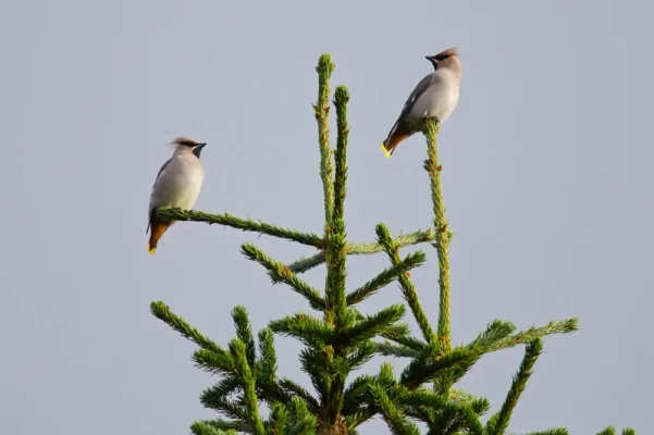 _small.webp _small.webp