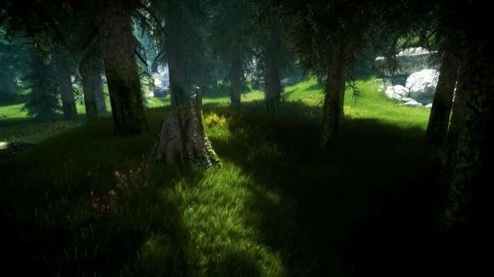 original.webp original.webp