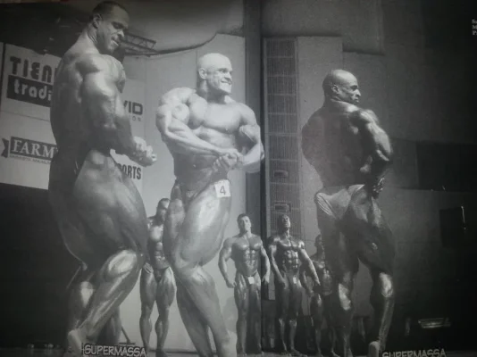 DILLET JA MINÄ.webp