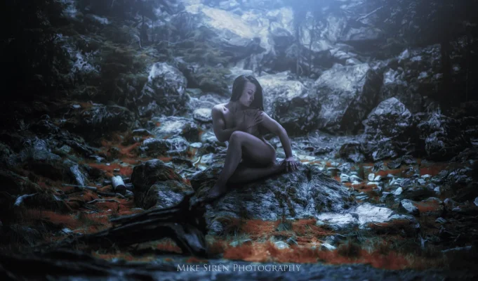 forest.webp forest.webp