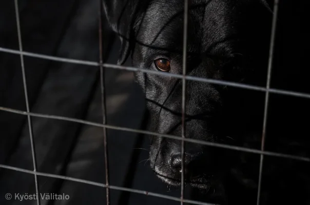 untitled20130518-5D-03495-3.webp untitled20130518-5D-03495-3.webp