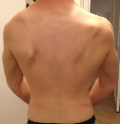 IMG_0533.webp IMG_0533.webp