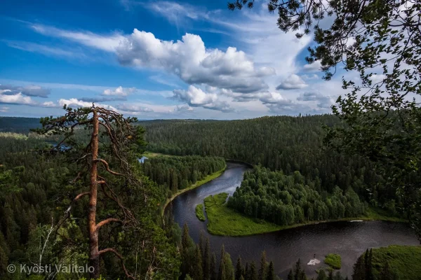 9435661151_3951d0381a_b.webp 9435661151_3951d0381a_b.webp