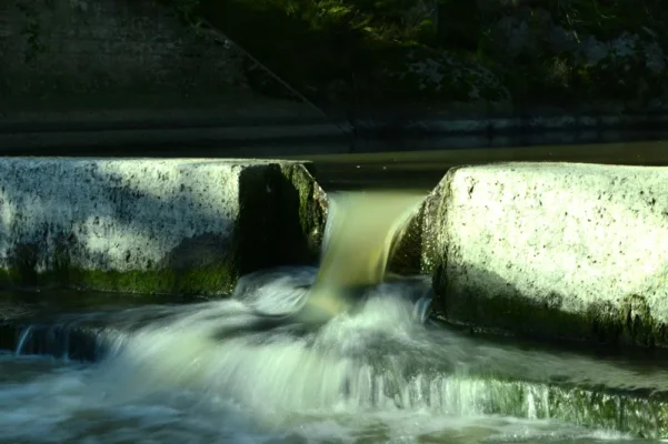 _DSC0051.webp _DSC0051.webp