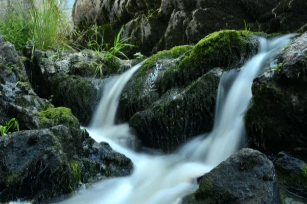 _DSC0056.webp _DSC0056.webp