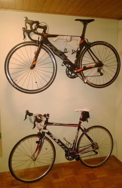 teline.webp teline.webp