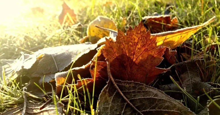 _small.webp _small.webp