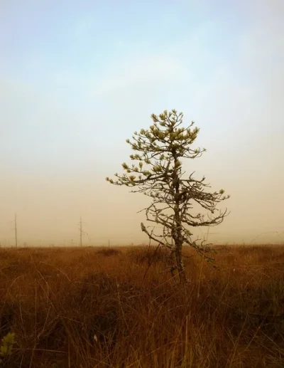 _small.webp _small.webp