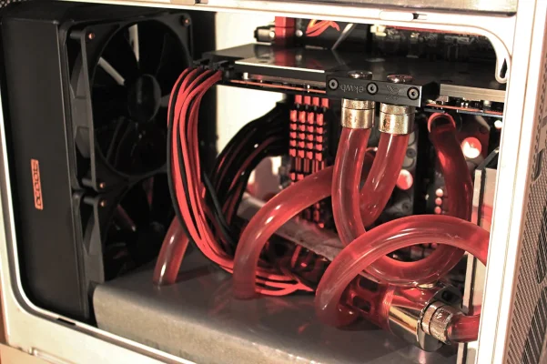 IMG_0151.webp IMG_0151.webp