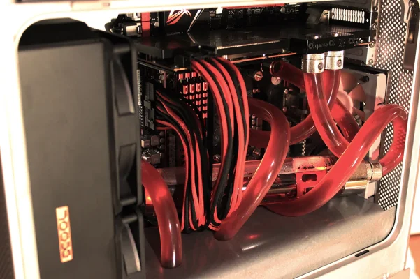 IMG_0152.webp IMG_0152.webp