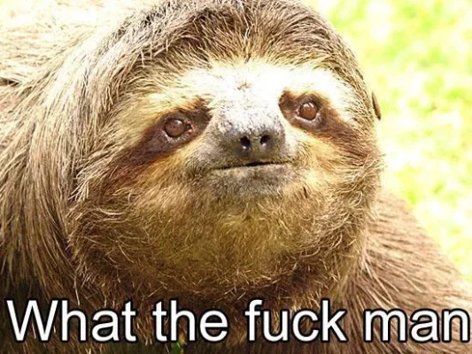 1335099004670.webp 1335099004670.webp