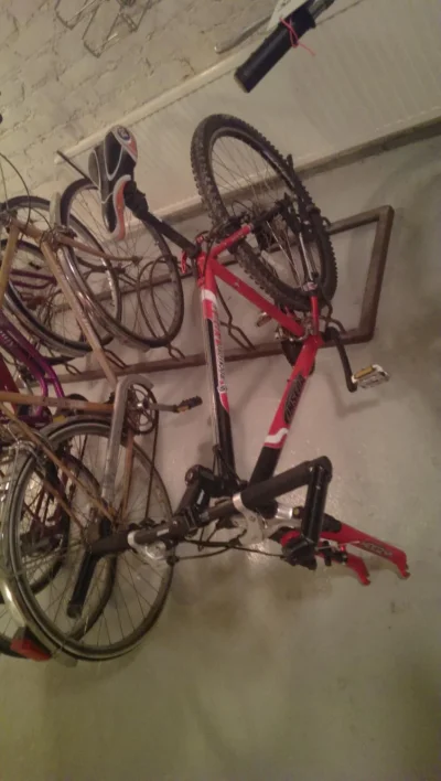 IMAG0707.webp IMAG0707.webp