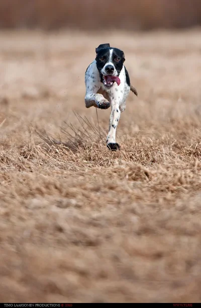 TLP_8144.webp TLP_8144.webp