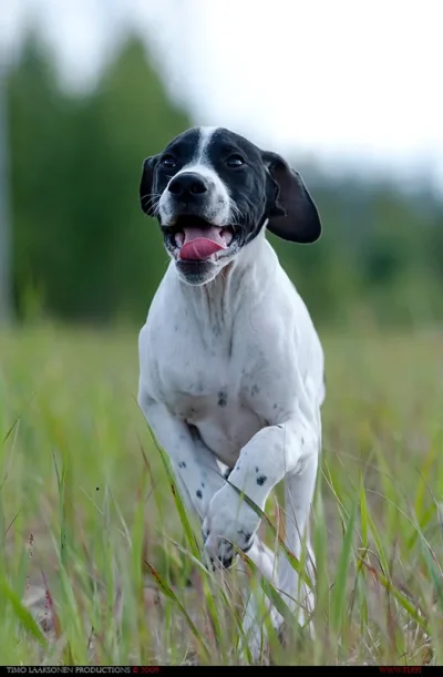 TLP_5740.webp TLP_5740.webp